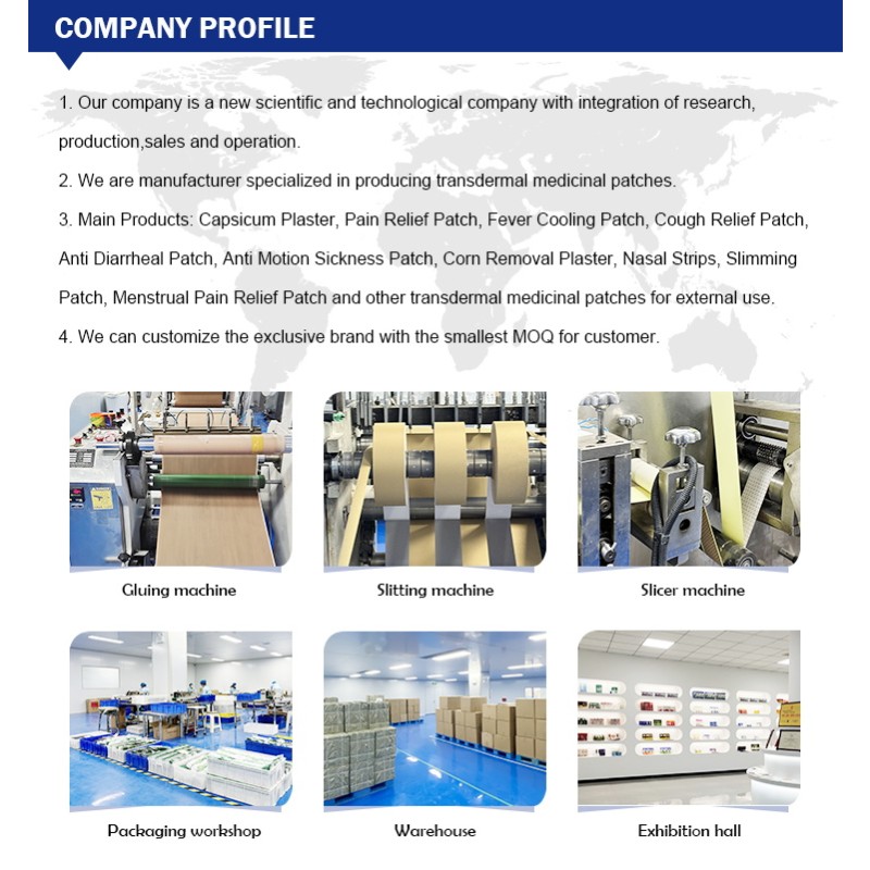 Herbal Pain Patch Factory - High Quality Free Sample Supplier