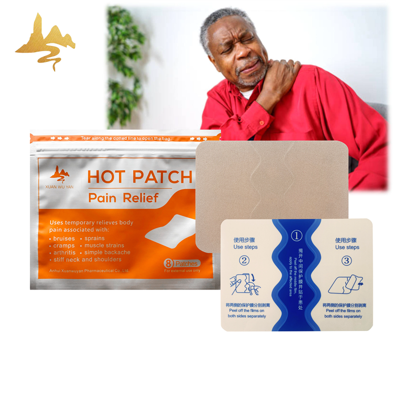 Capsicum Therapy Pack Supplier - Hot & Cold Muscle Pain Relief Patch