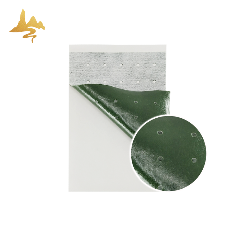 Non-woven Heat Plaster Factory - Camphor Menthol Eucalyptus Oil Patch
