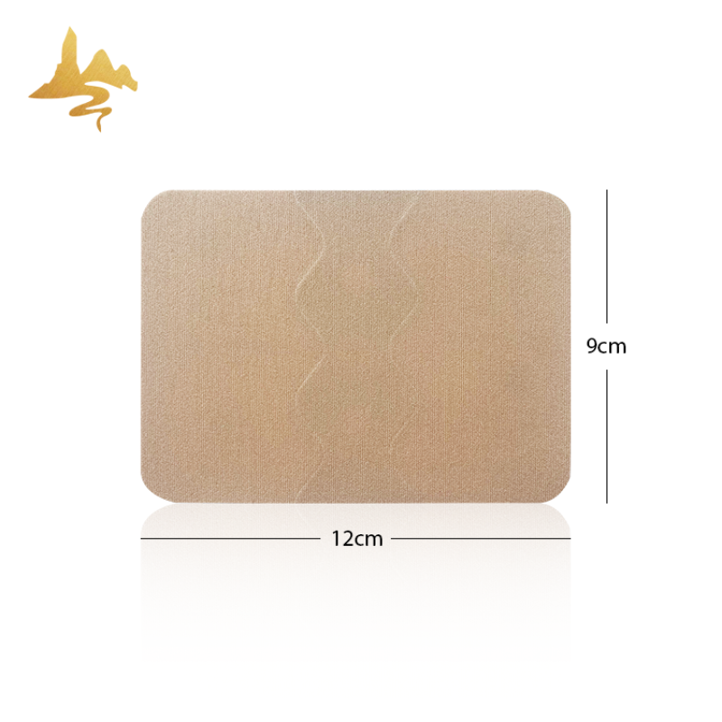 Capsicum Pain Patch Manufacturer - Targeted Hot & Cold Therapy for Adults