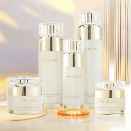 Anti Oxidant Set Factory - Spot Lightening