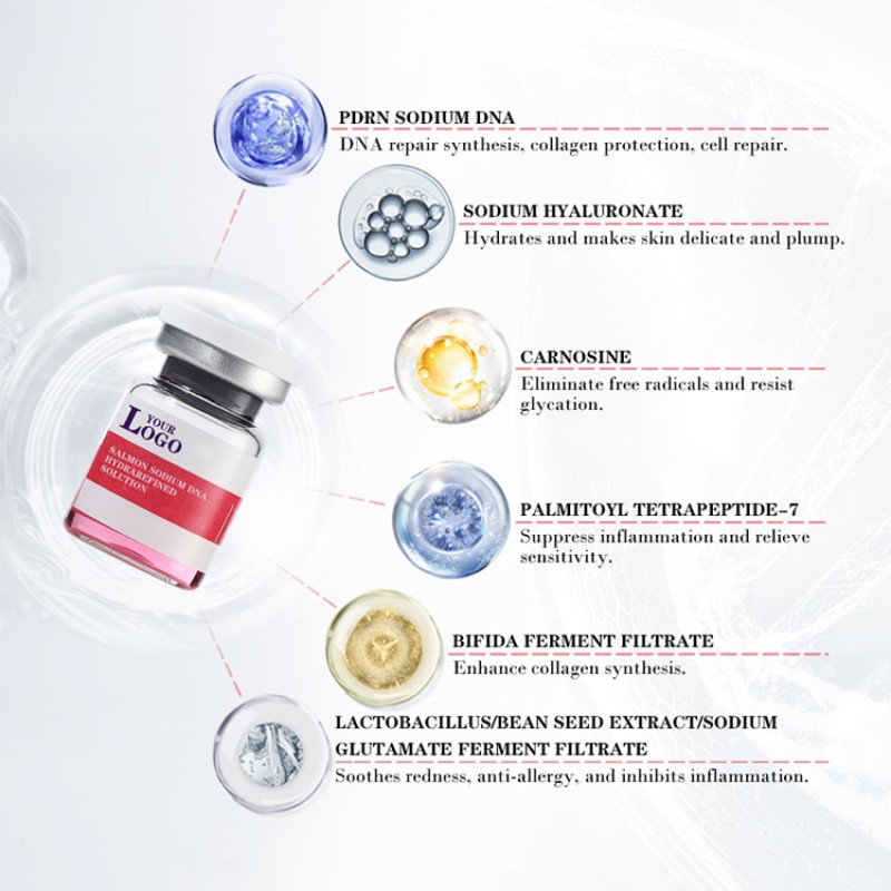 Salmon DNA Serum Factory - Collagen Regeneration