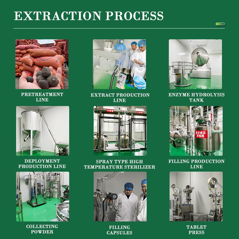 Hair Growth Serum Supplier - Fast Acting OEM