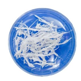 PDRN Powder Manufacturer - Cosmetic Raw Material