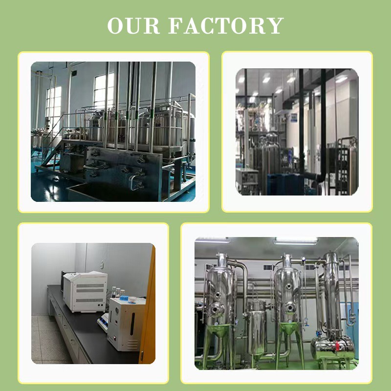 Anti Aging Serum Factory - Snake Venom Peptide