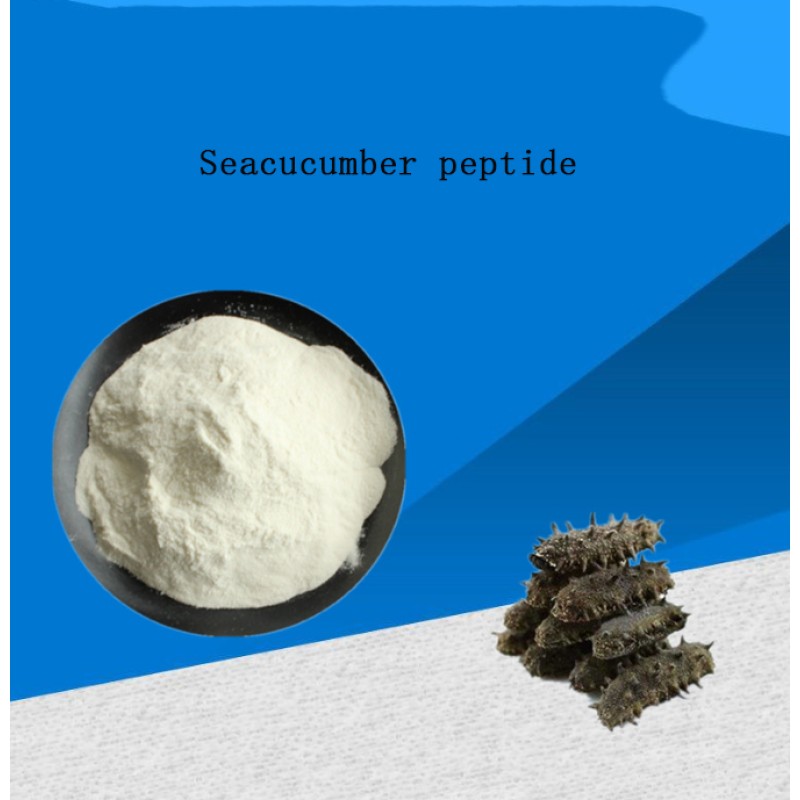Pure Sea Cucumber Extract Oligopeptide Powder Active Protein Ingredient White Appearance Available Bottle Drum Mason Jar