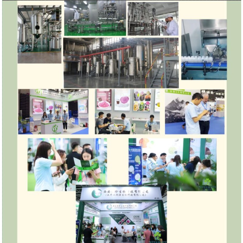 Wholesale Price E6 E18 E25 E40 Organic Blue Spirulina Majik Extract Phycocyanin Powder