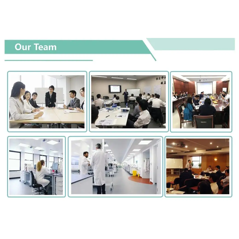 Best Selling 1% Sulforaphane Powder Broccoli Seeds Extract Herbal CAS 142825-10-3 Free Sample in Bottle or Drum Packaging