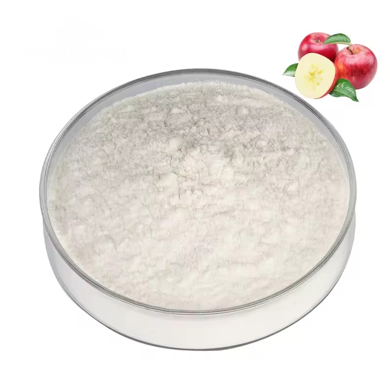 Pure Natural apple Stem Cell Extract Powder Organic Green apple Extract 80%90%