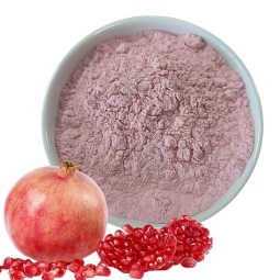 Factory Supply Pomegranate Powder Natural Pomegranate Juice Powder