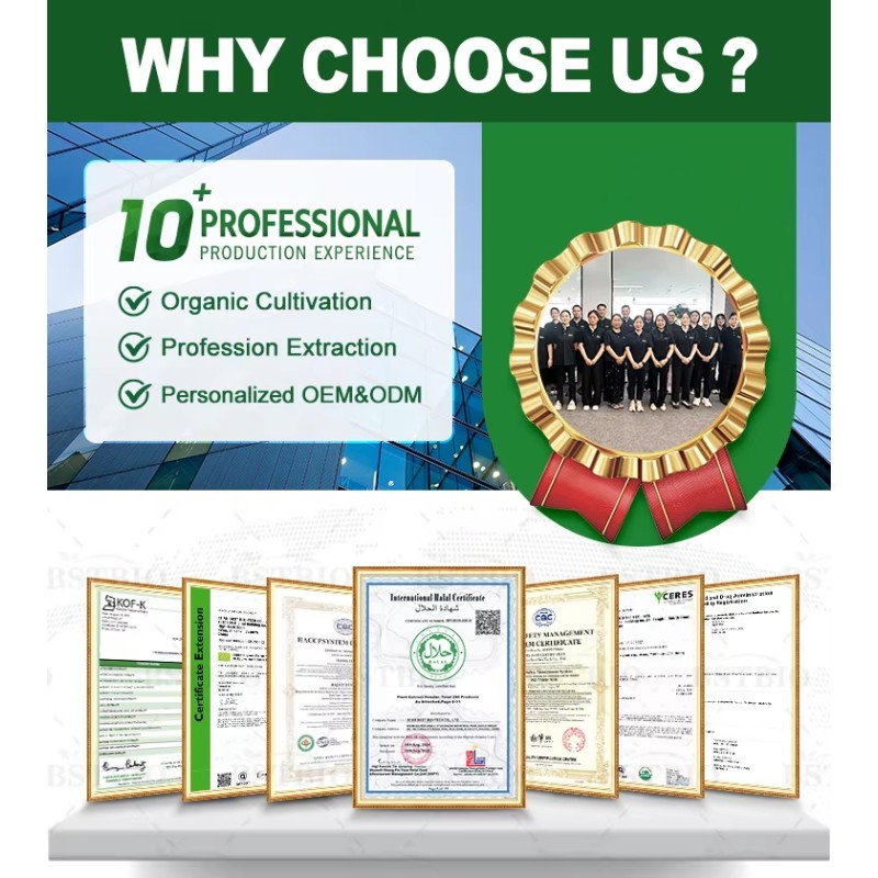 Pure Angelica Sinensis Herbal Extract with 1% Ligustilide CAS 4431-01-0 Available in Powder Form with Various Container Options