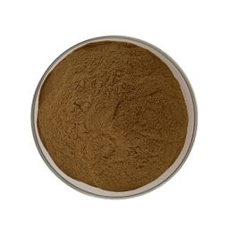 Pure Angelica Sinensis Herbal Extract with 1% Ligustilide CAS 4431-01-0 Available in Powder Form with Various Container Options