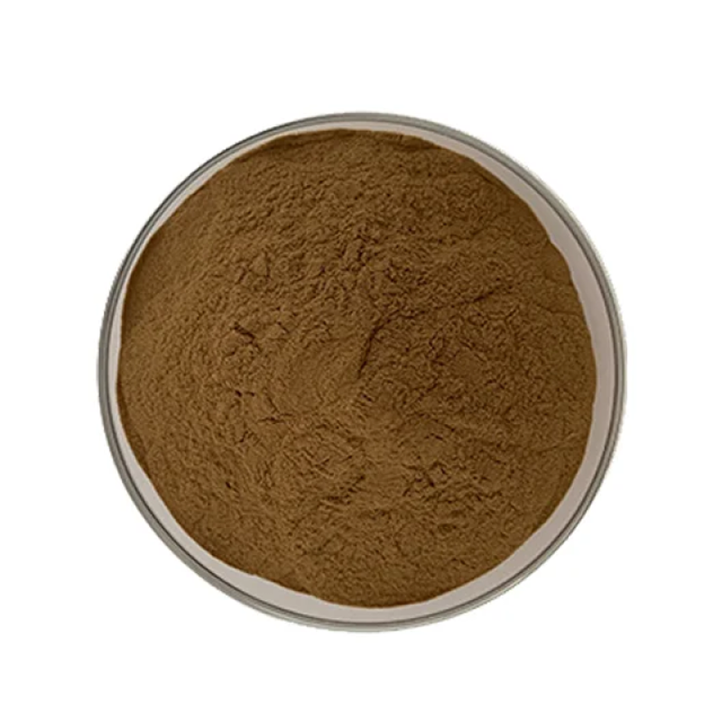 Pure Angelica Sinensis Herbal Extract with 1% Ligustilide CAS 4431-01-0 Available in Powder Form with Various Container Options