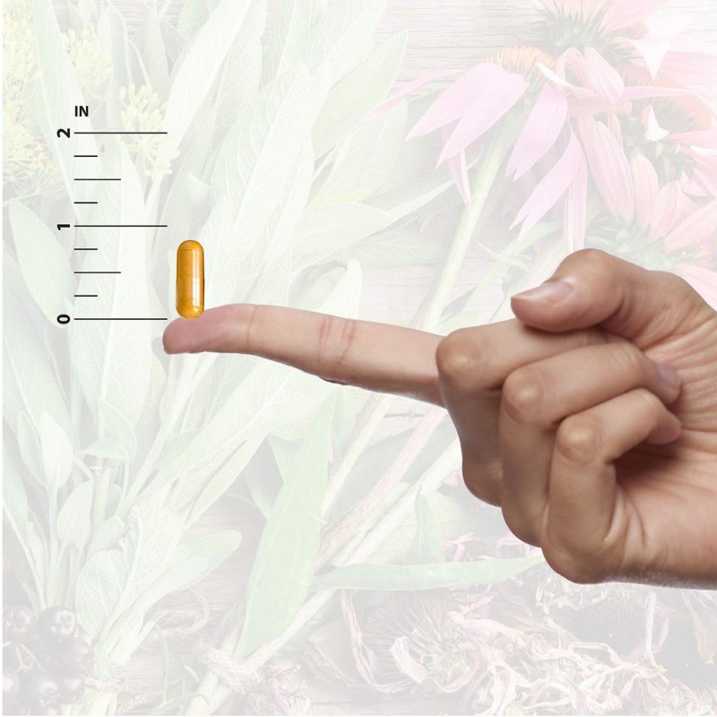 OEM Horny Goat Weed Capsules Epimedium Capsules for Private Label Performance and Energy Support