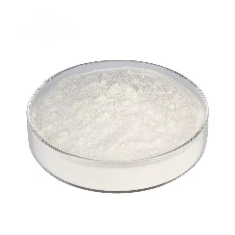 Factory Direct Supply Natural Organic Extract Bulk Halal Apple Cider Vinegar Powder