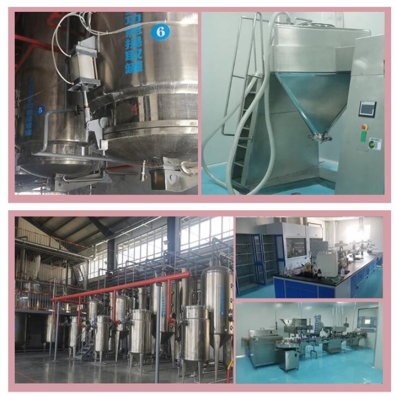 ISO Factory Supply Food Grade Oil Soluble Paprika Oleoresin Herb Extract Liquid Form Enhances Color Flavour Packaged Drum Bottle