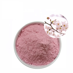 Best Selling Oriental Sakura Cherry Blossom Powder Natural Superfood Supplement Attractive Glass Container Halal Bottle Drum