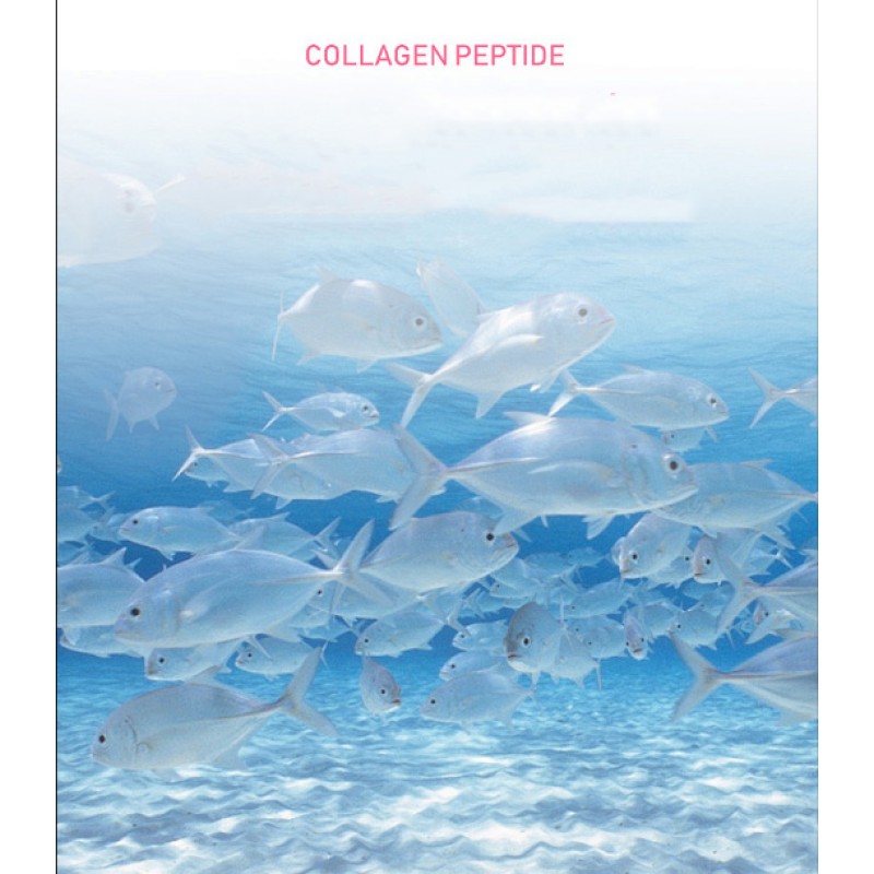Fish Raw Materials Collagen Peptide Small-molecule Fish Collagen Peptide Natural Collagen Peptide Powder