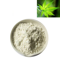 Factory Supply Food Additive Sweetener Sweet Tea Extract Powder 70% Rubusoside