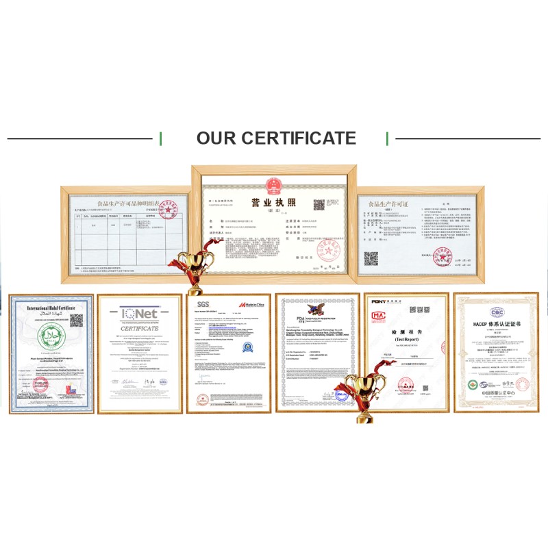 ISO Certified Manufacturer Supplies Bifidobacterium Bifidum Probiotic Powder Vitamin Active Competitive Price Bottle Drum