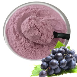 Factory Supply Natural Organic Food Grade Black Grape Juice Fruit Juice Powder