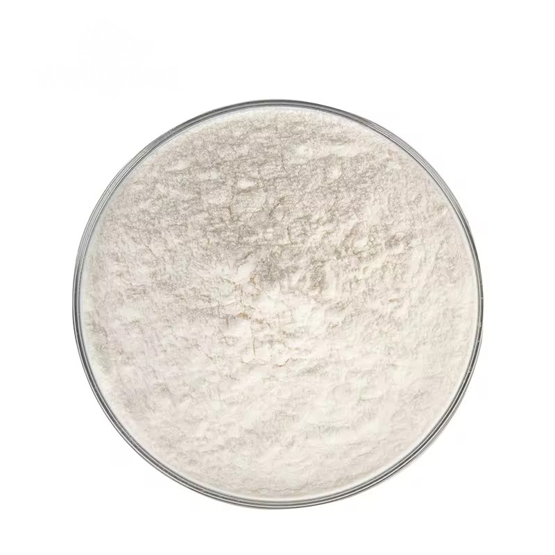 Factory Direct Supply Natural Organic Extract Bulk Halal Apple Cider Vinegar Powder