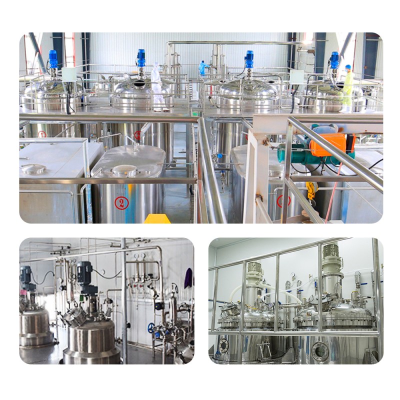 ISO Certified Manufacturer Supplies Bifidobacterium Bifidum Probiotic Powder Vitamin Active Competitive Price Bottle Drum