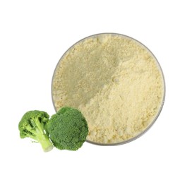 Best Selling 1% Sulforaphane Powder Broccoli Seeds Extract Herbal CAS 142825-10-3 Free Sample in Bottle or Drum Packaging