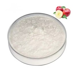 Factory Direct Supply Natural Organic Extract Bulk Halal Apple Cider Vinegar Powder