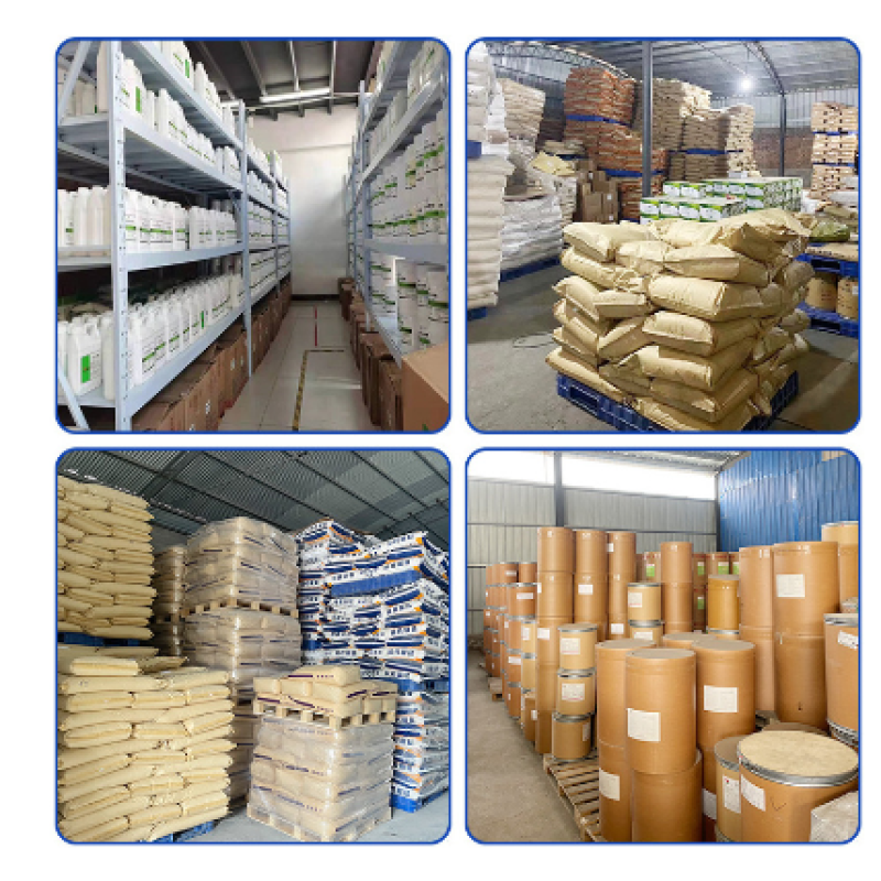 Best Selling Quick-Dissolving Instant Pu'er Tea Powder High Quality Tea Extract in Bulk Available in Bottles Drums Vacuum Packed