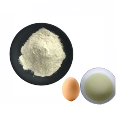 Wholesale Bulk Ovalbumin Peptide Powder Vitamin-Active White for Albumin Peptides Supplement Available Bottle Drum Vacuum