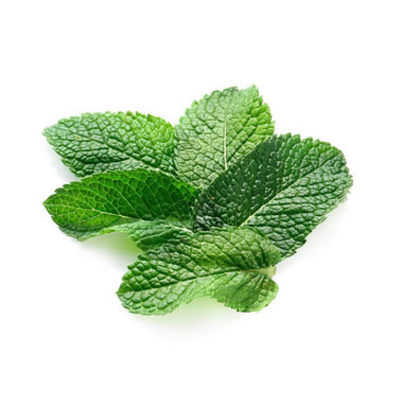 Wild-Cultivated Mint Flavor Vitamin-Infused Pure Water Soluble Food Grade Enhancer Bottle Drum Plastic Container Mason Jar