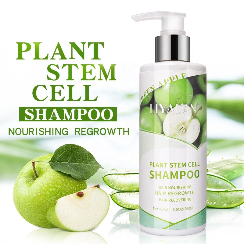 Shampoo Supplier - Professional Private Label Plant Stem Cell Regrowth
