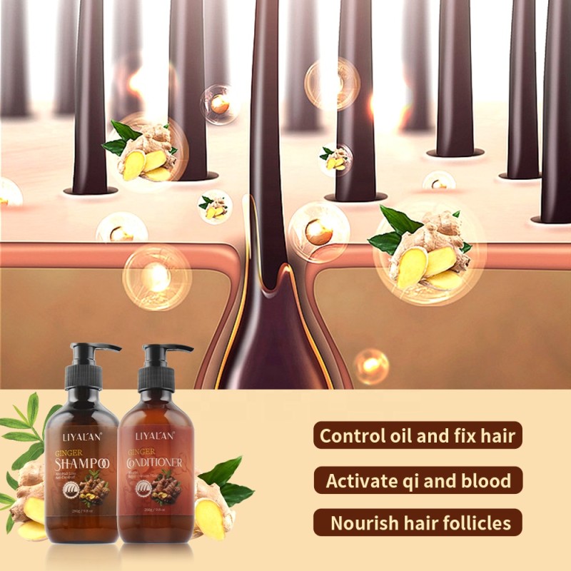 Shampoo Conditioner Set Factory - Custom Nourish Repair Herbal Ginger