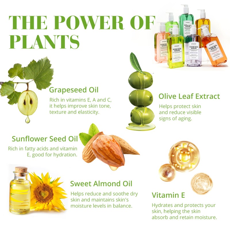 Shower Gel Factory - Private Label Almond Milk Nourishing Body Wash