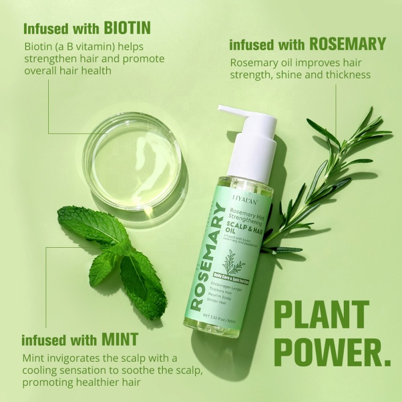 Hair Care Set Manufacturer - Private Label Rosemary Mint Shampoo Conditioner