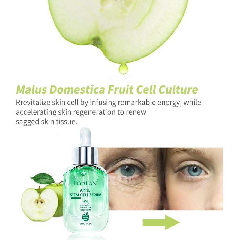 Face Serum Supplier - OEM Private Label 30ML Apple Stem Cell Anti Aging