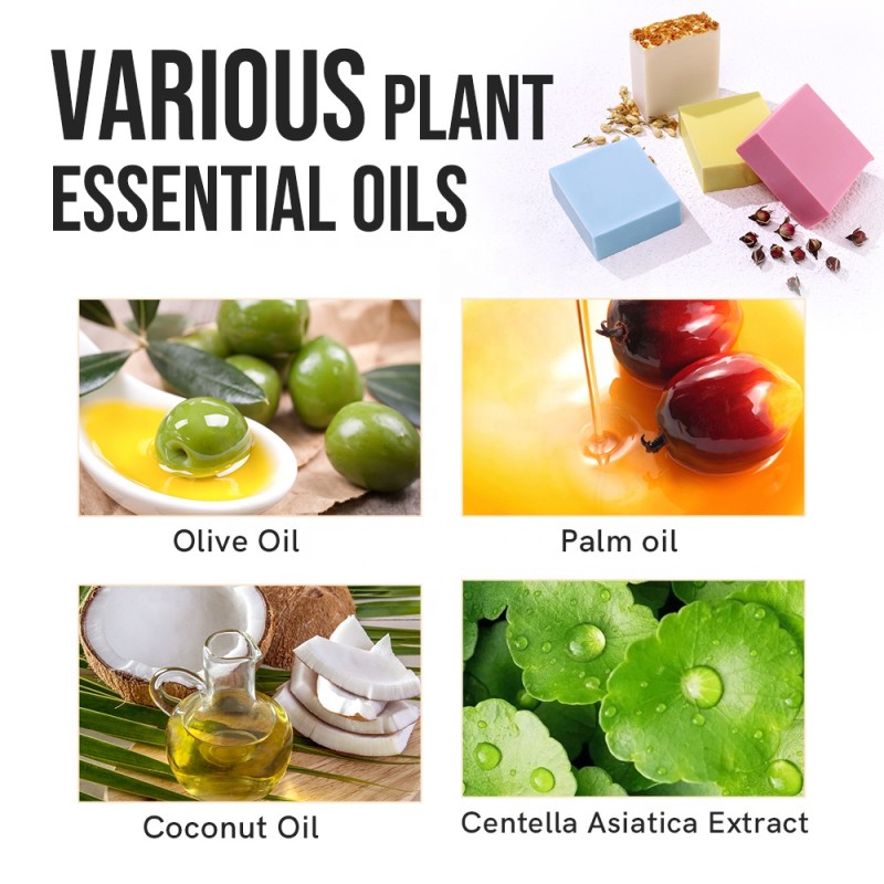 Handmade Soap Manufacturer - Custom Essential Oil Goat Milk Artisanal