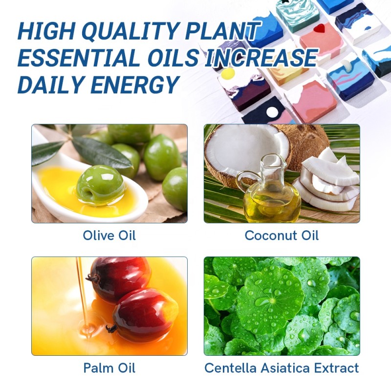 Handmade Soap Supplier - Custom 12 Constellation Shape Face Wash