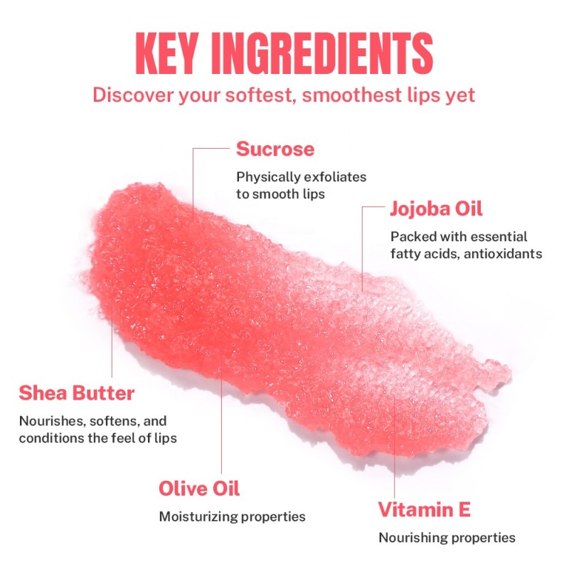 Lip Scrub Manufacturer - Private Label 12pcs/box Vegan Fruit Sugar Scrub