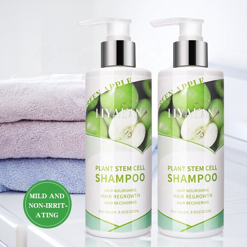 Shampoo Supplier - Professional Private Label Plant Stem Cell Regrowth