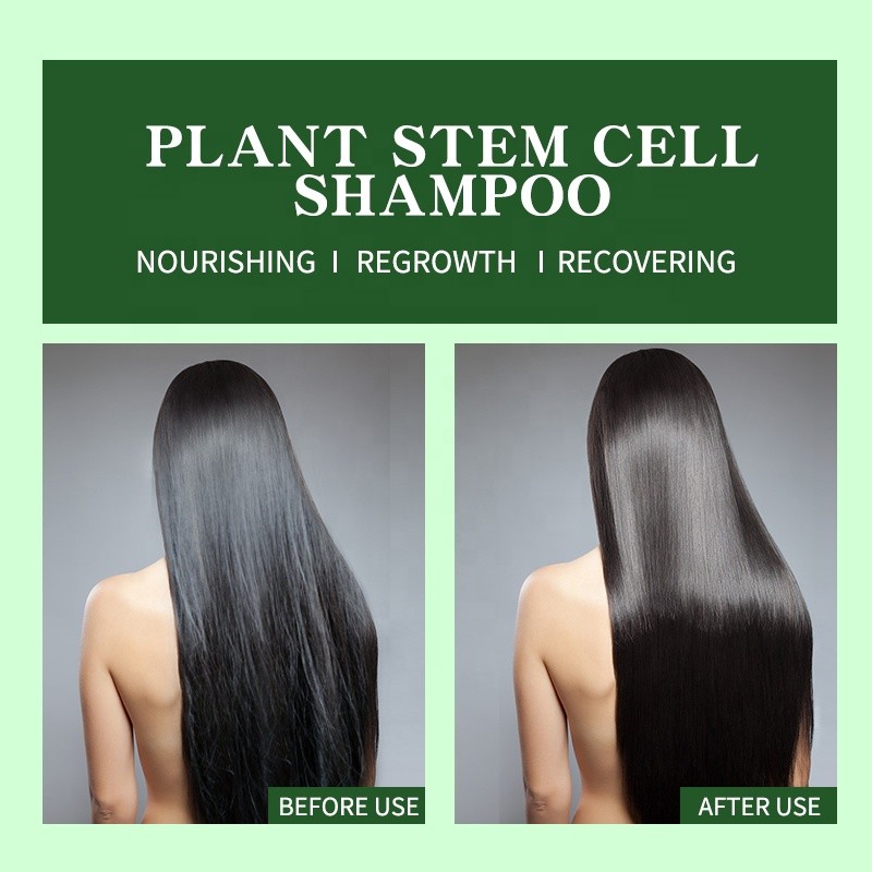 Shampoo Supplier - Professional Private Label Plant Stem Cell Regrowth
