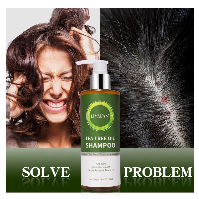 Shampoo Manufacturer - Private Label Tea Tree Oil Soothing Sensitive Scalp