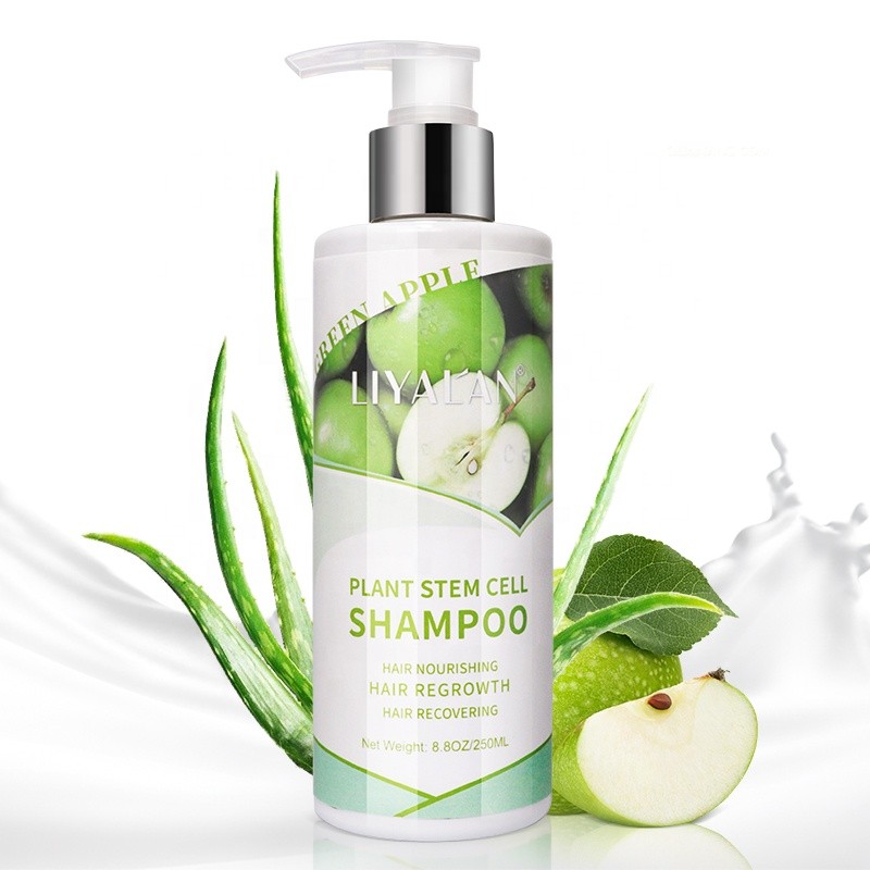 Shampoo Supplier - Professional Private Label Plant Stem Cell Regrowth