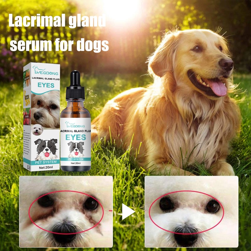Pet Tear Remover Factory - Natural Formula
