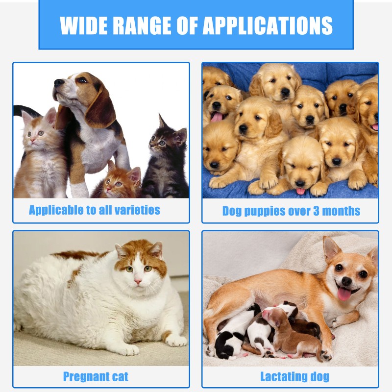 Pet Wound Spray Manufacturer - Dog Care