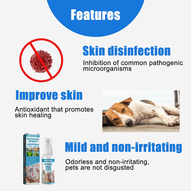 Pet Wound Spray Manufacturer - Dog Care