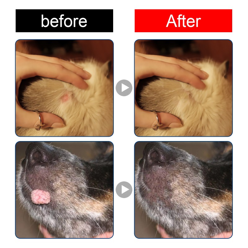 Dog Wart Remover Supplier - Skin Care