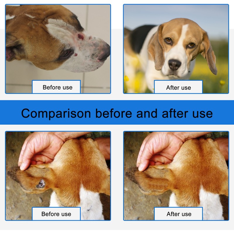 Pet Wound Spray Manufacturer - Dog Care