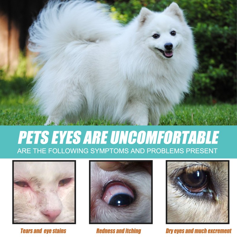 Pet Tear Remover Factory - Natural Formula